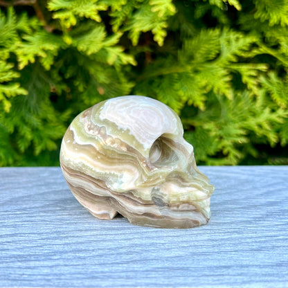 Banded Calcite Crystal Skull CC-004-B