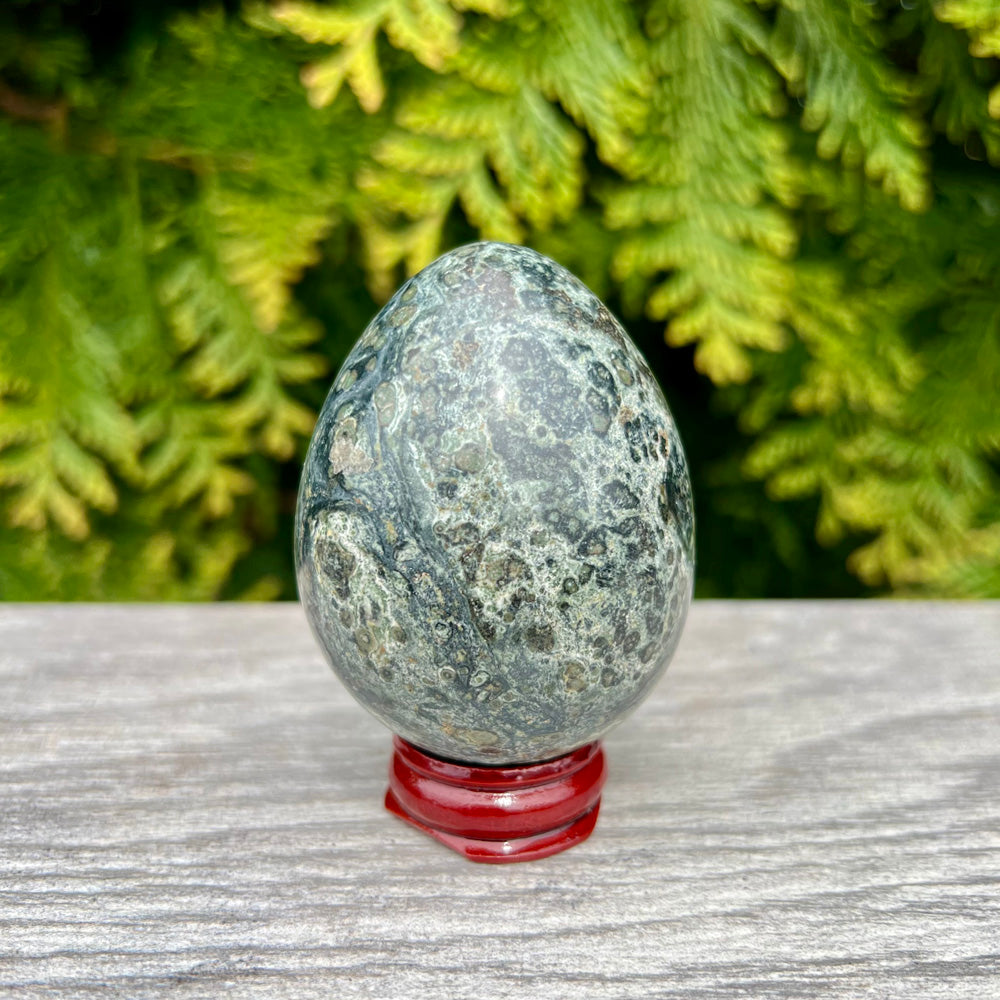 Kambaba Jasper Gemstone Egg CC-002-C