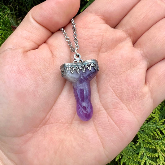 Don't Be A Dick Amethyst Pendant Necklace