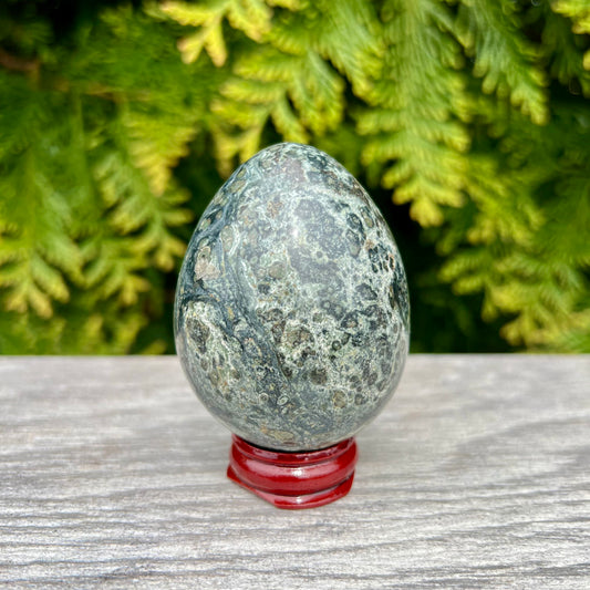 Kambaba Jasper Gemstone Egg CC-002-C