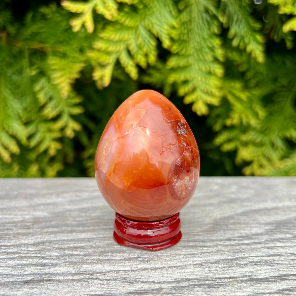Carnelian Gemstone Egg CC-002-D