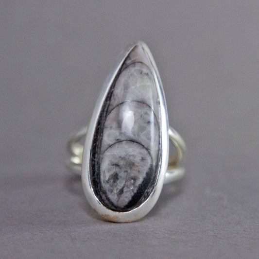 Orthoceras Fossil Teardrop Classic Sterling Silver Ring US 6 SS-008