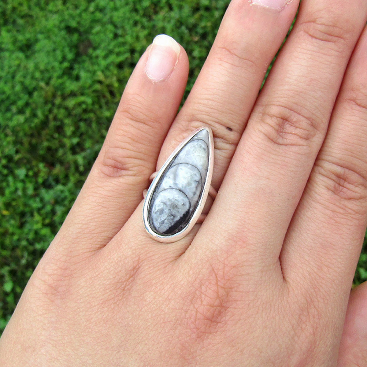 Orthoceras Fossil Teardrop Classic Sterling Silver Ring US 6 SS-008