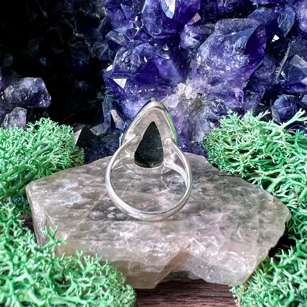 Orthoceras Fossil Teardrop Classic Sterling Silver Ring US 7 SS-111